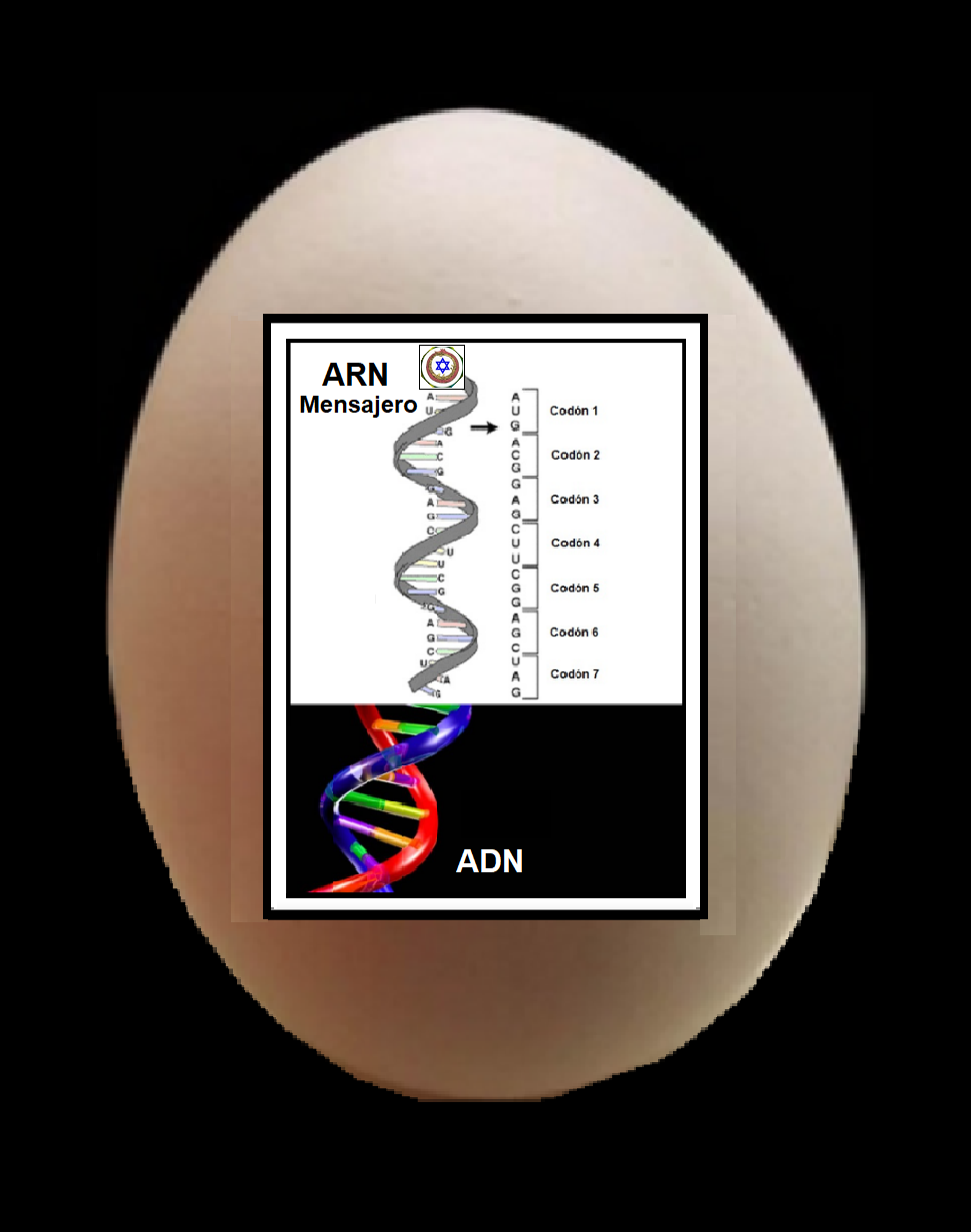 Imperio mundial de la profecia